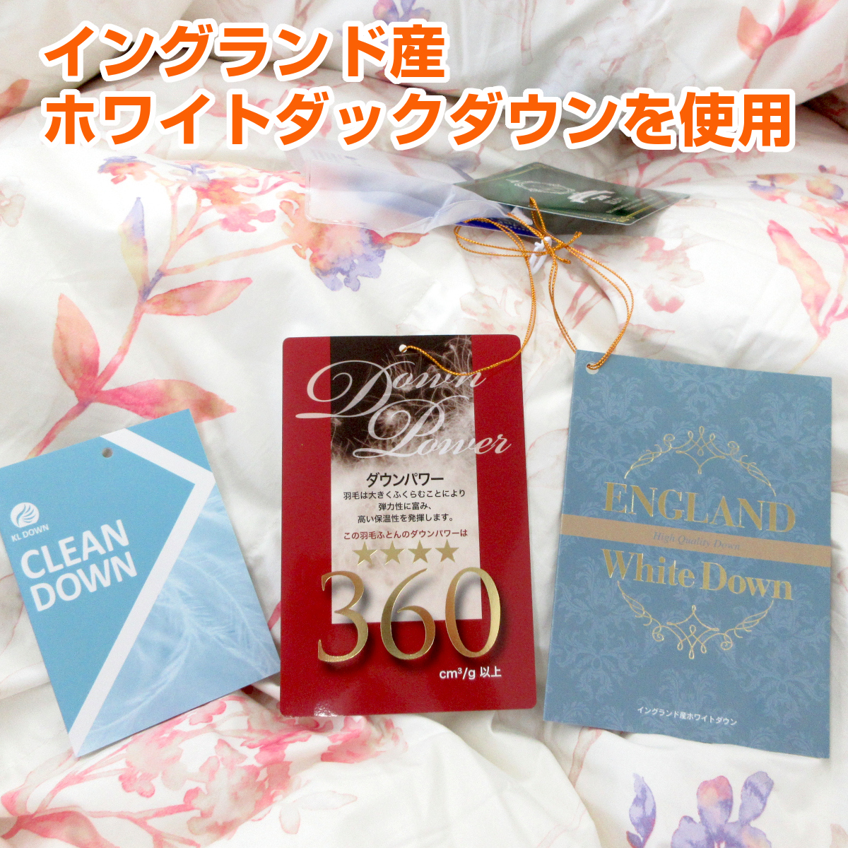 K2226【モリリン】スペイン産ホワイトダックダウン K2226【モリリン】スペイン産ホワイトダックダウン