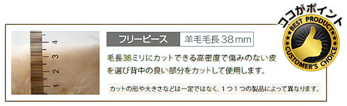 ココがポイント