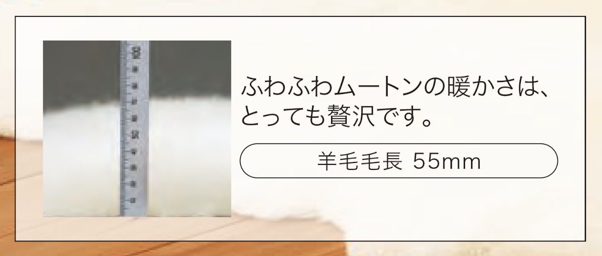 ココがポイント