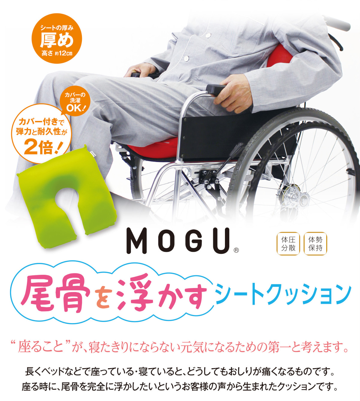 770-240>【WEB限定(店頭受取不可)】【MOGU® モグ】［尾骨を