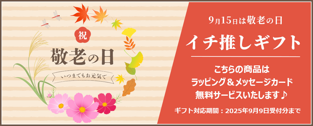 シルク、真綿、まわた(絹)100%ひざ掛け②、備長炭シート入り、遠赤外線、日本製 絹(シルク)100%の近江手引き真綿本掛けふとん シングル（150