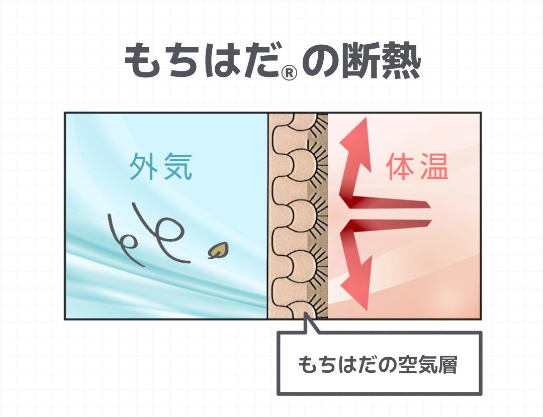 もちはだの断熱性