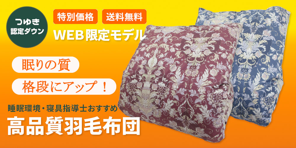 認定ダウン・WEB限定モデル