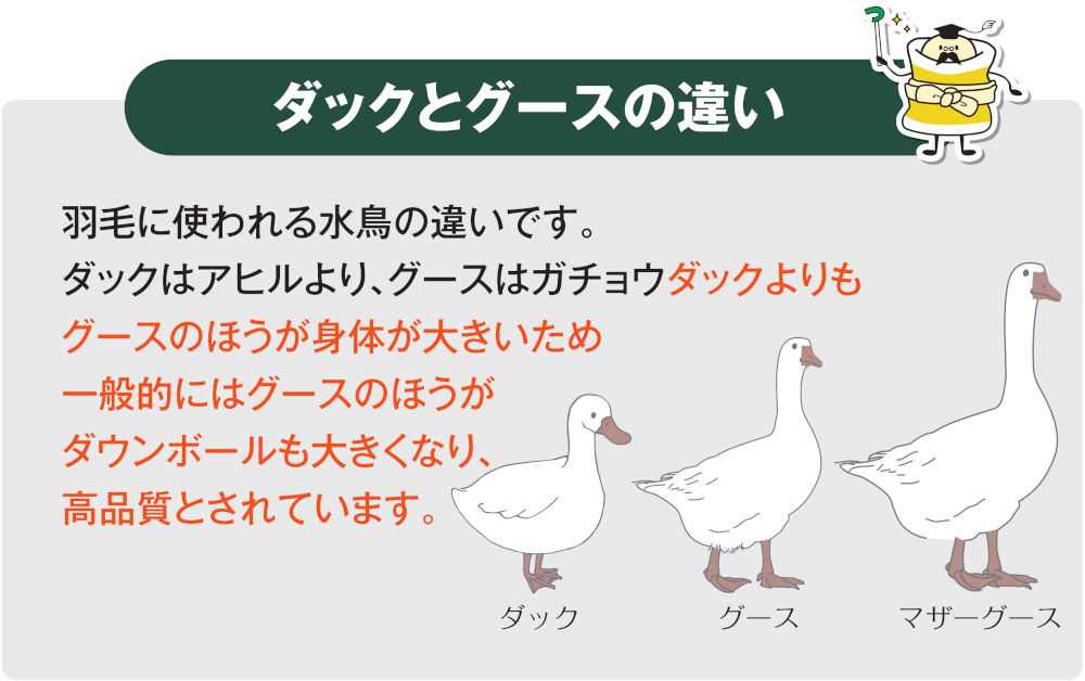 ダックとグースの違い