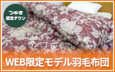 認定ダウン・WEB限定モデル