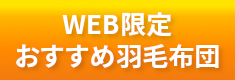 認定ダウン・WEB限定モデル